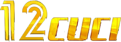 12cuci Logo